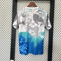 Alternative view of Brésil 2025 Concept