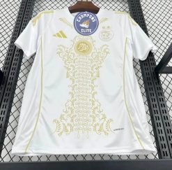 Alternative view of Algérie 2025 Concept