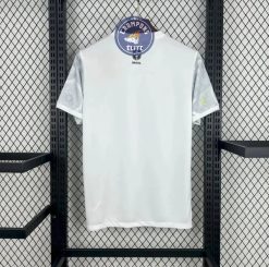 Alternative view of Brésil 2025 Concept