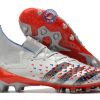 Predator Freak Lacets FG Showpiece - Argenté/Noir/Rouge